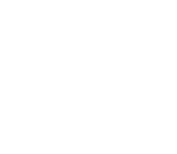 Grupo-bandeirantes